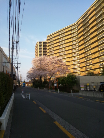2012041304.jpg