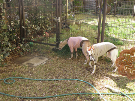 2012041304.jpg