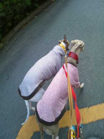 2012041306.jpg
