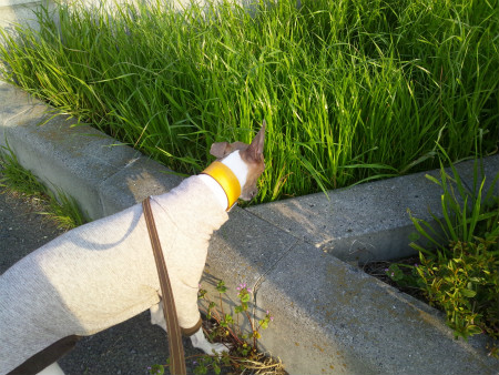 2012041307.jpg