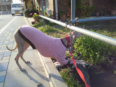 2012041308.jpg