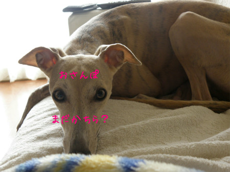 2012041501.jpg