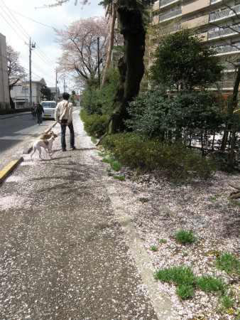 2012041502.jpg