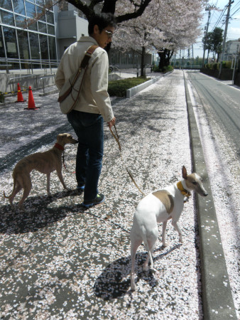 2012041503.jpg