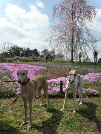 2012041504.jpg