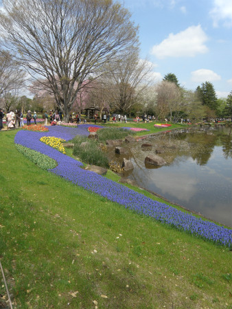 2012041506.jpg