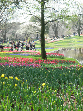 2012041507.jpg