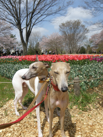 2012041509.jpg