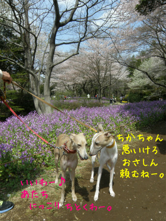 2012041510.jpg
