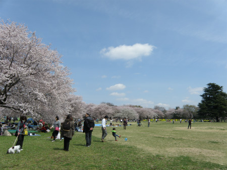 2012041511.jpg