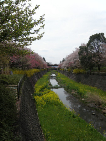 2012041512.jpg