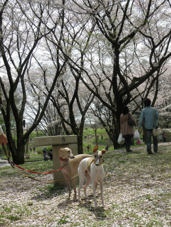 2012041513.jpg