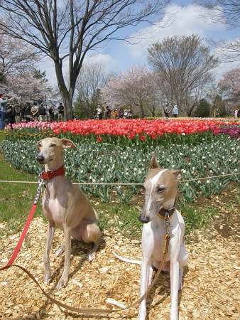2012041514.jpg