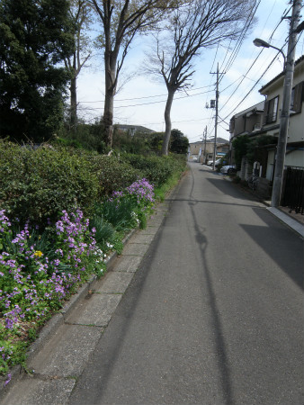 2012041515.jpg