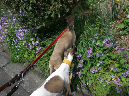 2012041516.jpg