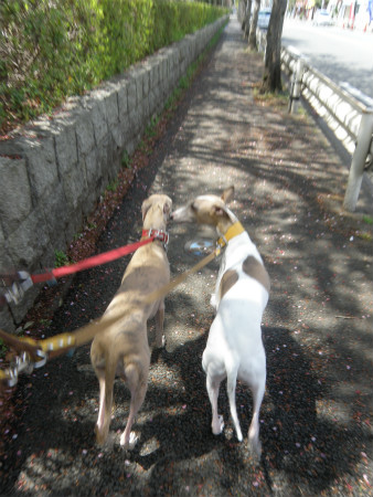 2012041517.jpg