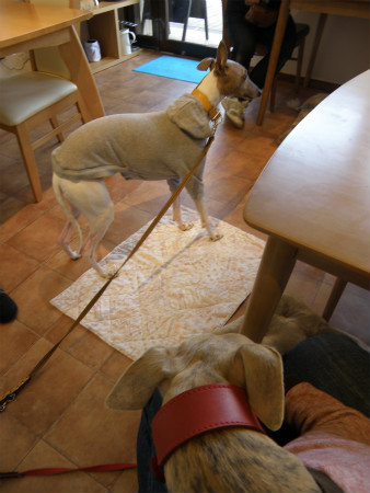 2012041520.jpg