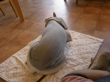 2012041521.jpg
