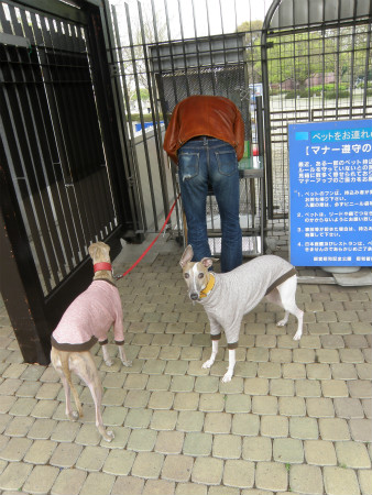 2012042101.jpg
