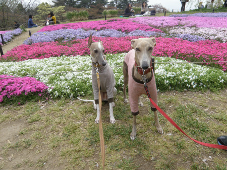 2012042102.jpg