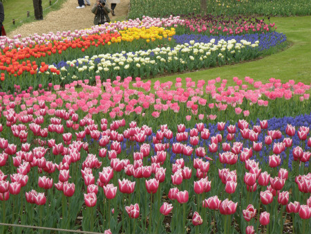2012042103.jpg