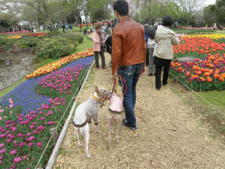 2012042104.jpg