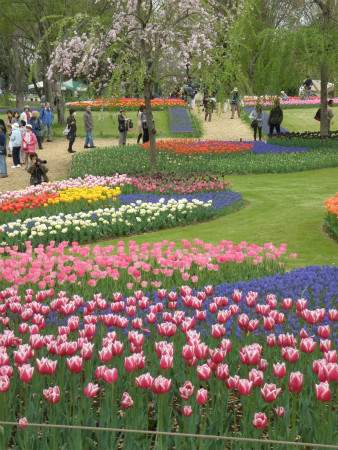 2012042106.jpg