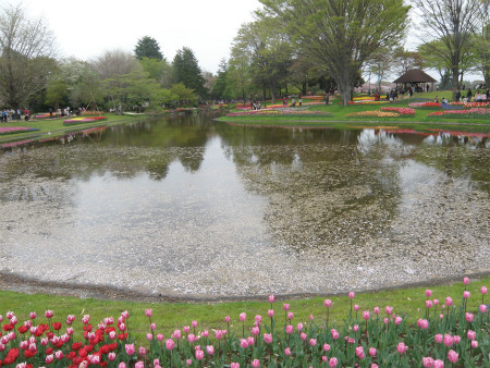 2012042107.jpg