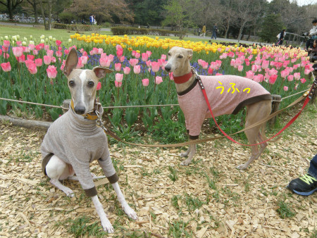 2012042108.jpg