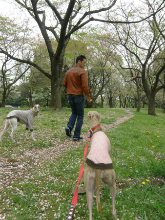 2012042109.jpg