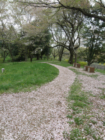 2012042110.jpg