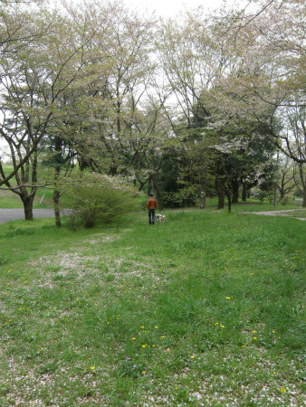 2012042111.jpg