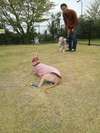 2012042112.jpg