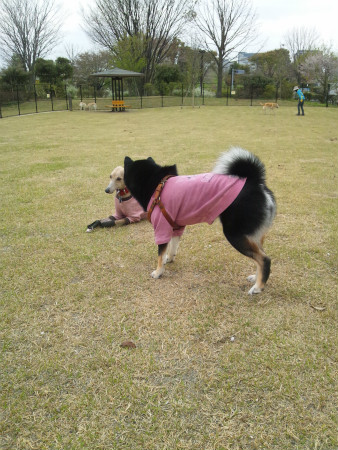 2012042113.jpg