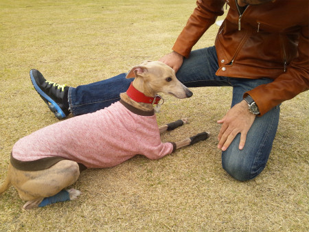2012042114.jpg
