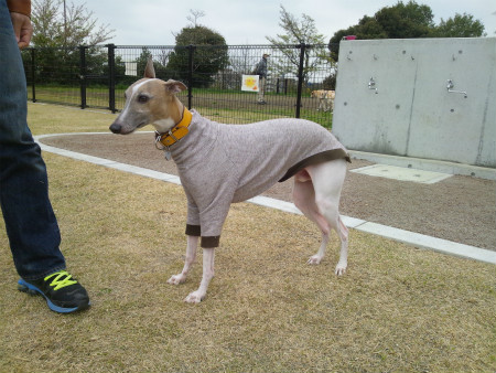 2012042115.jpg