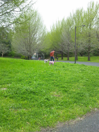 2012042116.jpg