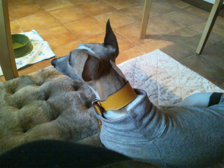2012042117.jpg