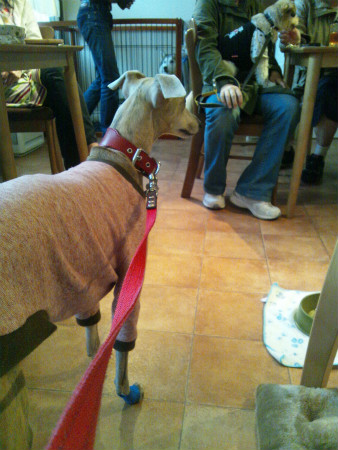 2012042118.jpg