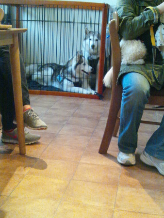 2012042119.jpg