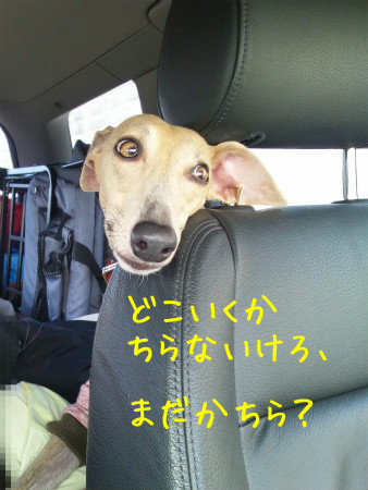 2012042901.jpg
