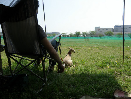 2012042903.jpg
