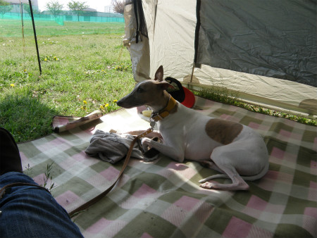 2012042904.jpg
