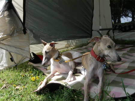 2012042905.jpg