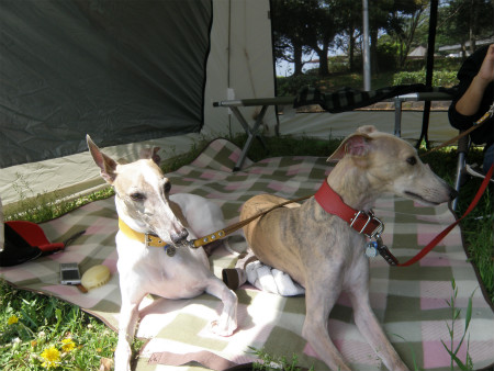2012042906.jpg