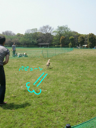 2012042908.jpg