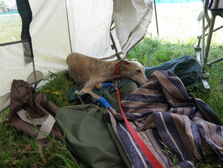 2012042909.jpg