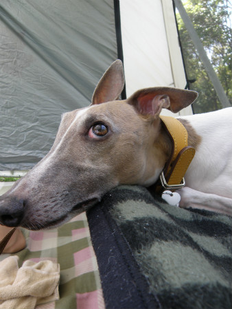 2012042910.jpg