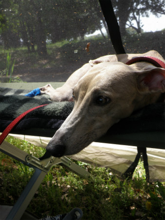 2012042911.jpg