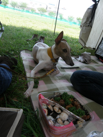 2012042912.jpg